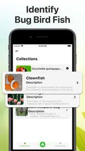 Insect Identification Bug ID screenshot 2