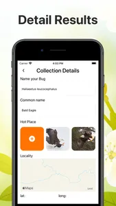Insect Identification Bug ID screenshot 3