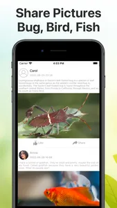 Insect Identification Bug ID screenshot 4