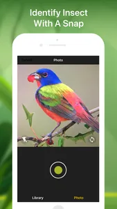 Bird identifier Bird Finder screenshot 1