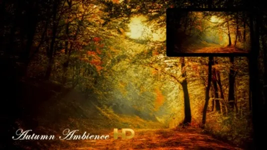 Autumn Ambience screenshot 0