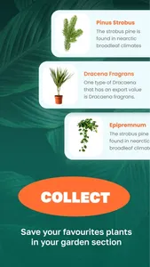 Plant & tree identification id screenshot 3