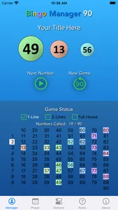 Bingo Manager 90 screenshot 0