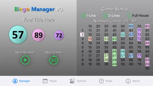 Bingo Manager 90 screenshot 1