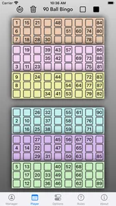 Bingo Manager 90 screenshot 2