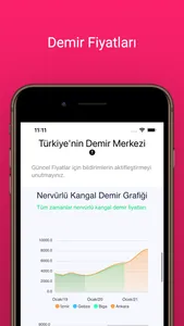 Demir Fiyatı screenshot 2