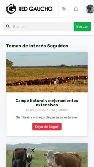 Red Gaucho screenshot 0