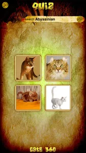 Animals 360 - Cats Gold screenshot 5