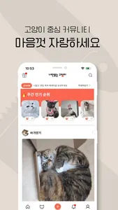 너만없는 고양이 screenshot 2