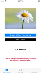Flower Identify screenshot 0