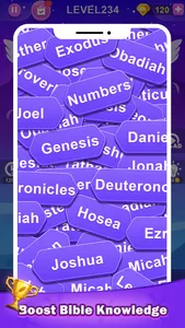 Bible Quizzes screenshot 3