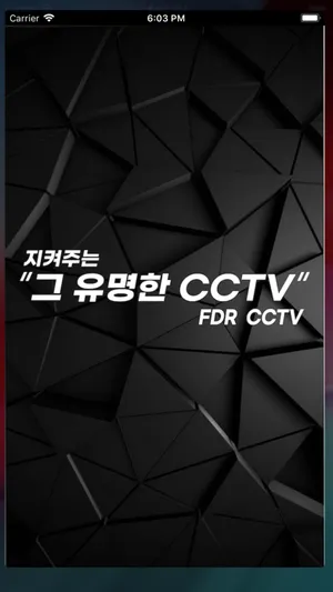 지켜주는 FDR CCTV screenshot 0