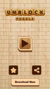 Unblock Puzzle : Puzzle Game screenshot 0