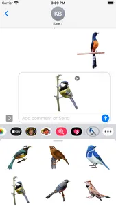 Bird Life Stickers screenshot 0