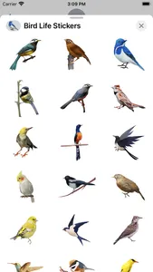 Bird Life Stickers screenshot 1