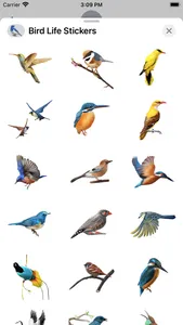 Bird Life Stickers screenshot 2