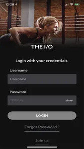 THE I/O screenshot 0