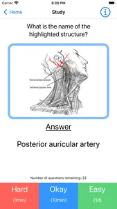 ENT Anatomy App screenshot 2