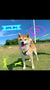 MyPuppy: Cute Dog Photo Maker screenshot 8