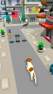 Dog Run Racer - Fun Race 3D screenshot 1