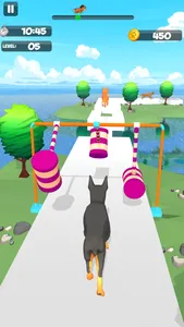 Dog Run Racer - Fun Race 3D screenshot 5