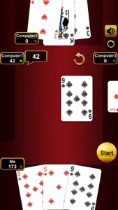 Crazy Eights Card Game Offline screenshot 4