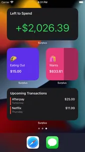 Surplus: Expense Tracker screenshot 2