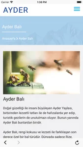 Ayder screenshot 2