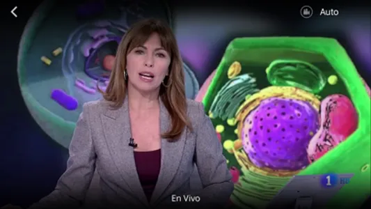 Netvoz TV screenshot 1