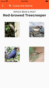 Australian Birds Sounds Pro screenshot 7