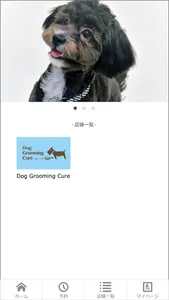 Dog Grooming Cure screenshot 1