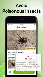 Bug Sound Identifier Insect ID screenshot 4