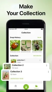 Bug Sound Identifier Insect ID screenshot 5