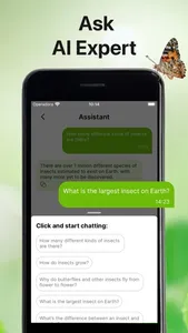 Bug Sound Identifier Insect ID screenshot 6