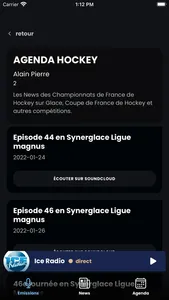 Ice Radio: France screenshot 1