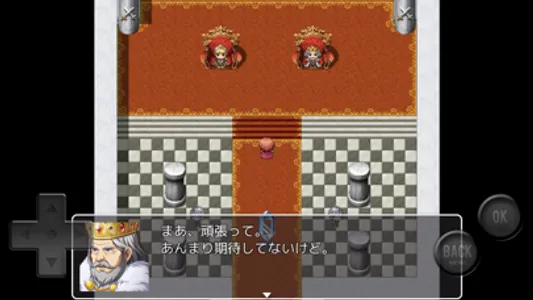 弱すぎるＲＰＧ screenshot 3