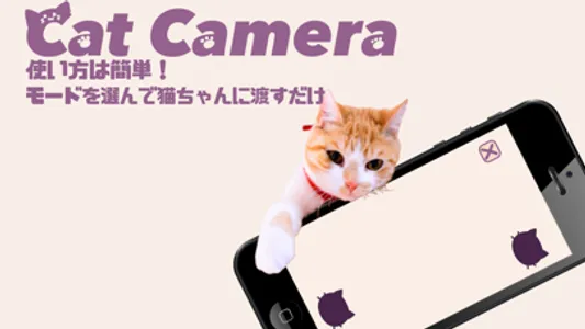 CatCamera screenshot 1