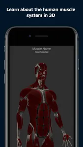 Anatomy Of Human Muscles screenshot 0