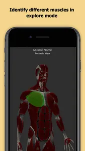 Anatomy Of Human Muscles screenshot 1