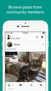 MeowMe - Cat Social Network screenshot 0