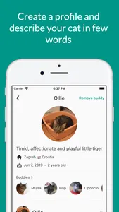 MeowMe - Cat Social Network screenshot 1