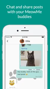 MeowMe - Cat Social Network screenshot 3