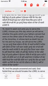 English - Punjabi Bible screenshot 2