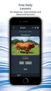 Bluebird: Learn Dutch screenshot 1