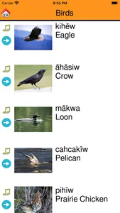 FDFN Cree Language App screenshot 3