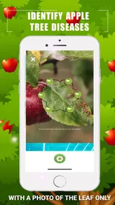 Identify Apple Tree Diseases screenshot 1