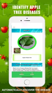 Identify Apple Tree Diseases screenshot 2