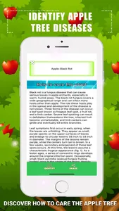 Identify Apple Tree Diseases screenshot 3