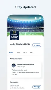 Under Stadium Lights screenshot 2