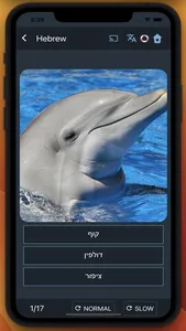 Bluebird: Learn Hebrew screenshot 7